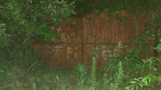 己斐峠 全国怪奇現象ファイル